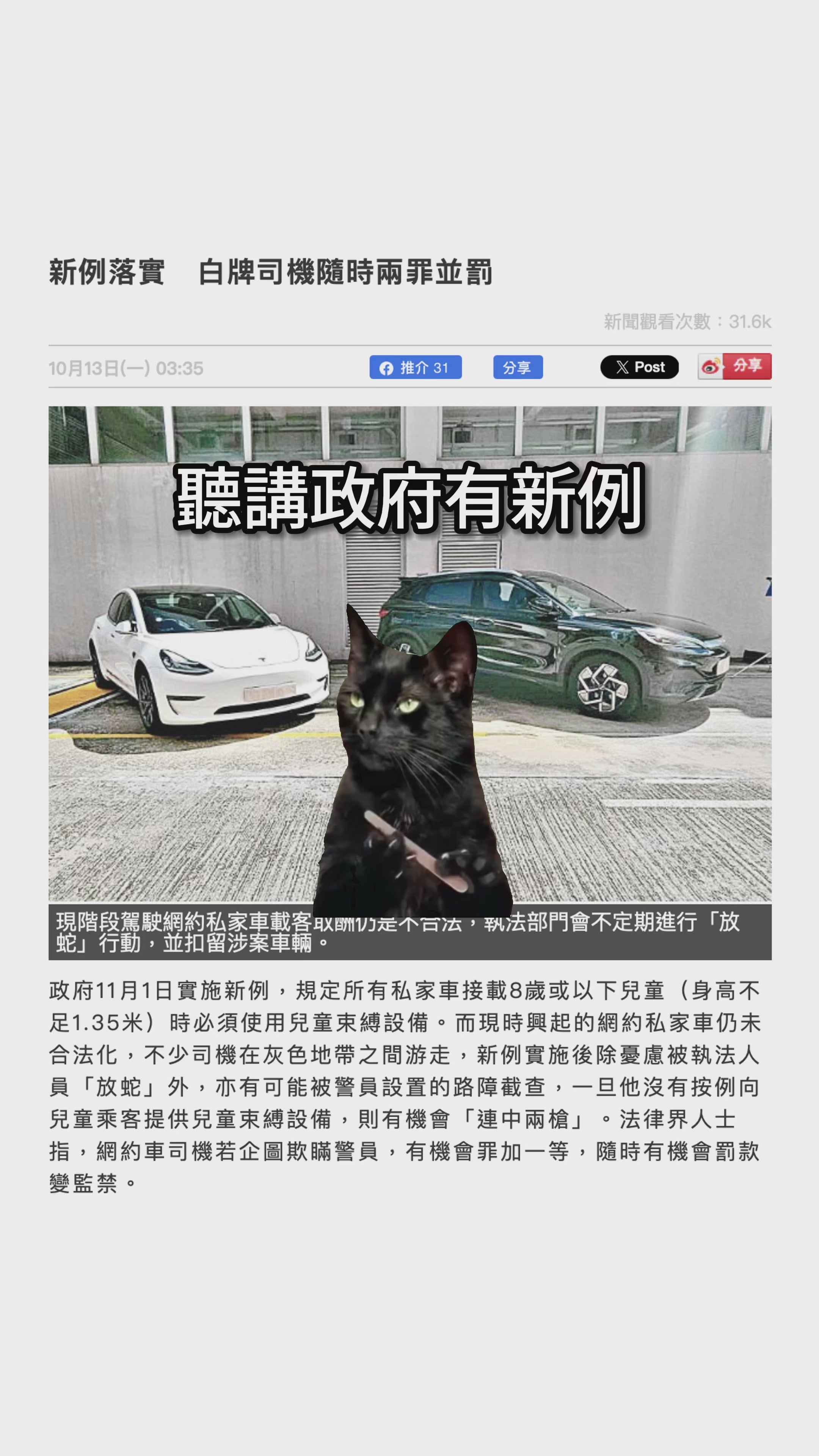 Smart Kid Belt - Safest Pocket Size Child Restraint System